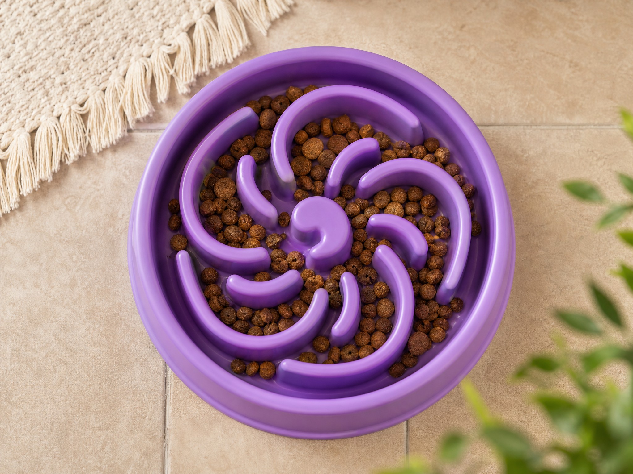 Slow-Feeder Bowl